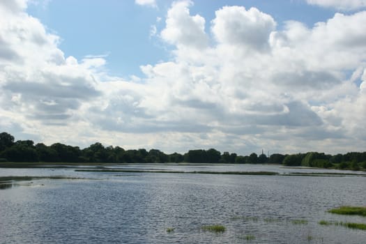 Flooded river floodplain of the Elbe in Saxony-Anhalt / Germany