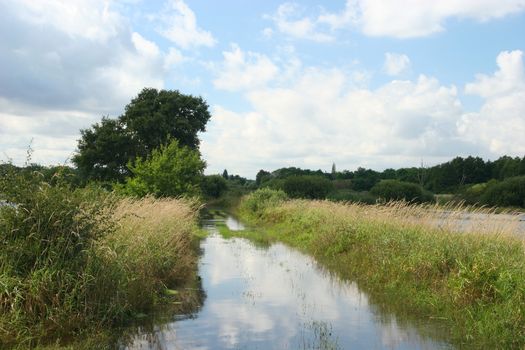 Flooded river floodplain of the Elbe in Saxony-Anhalt / Germany