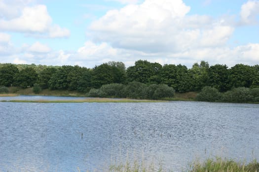 Flooded river floodplain of the Elbe in Saxony-Anhalt / Germany