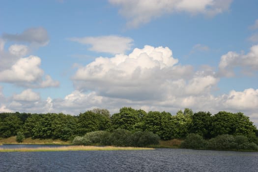 Flooded river floodplain of the Elbe in Saxony-Anhalt / Germany