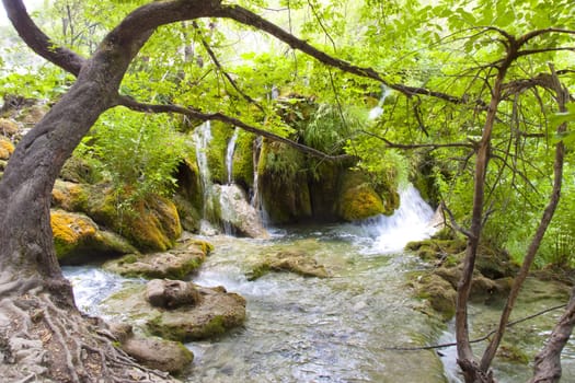 Plitvicka Lake, National Park in Croatia. Beauty small river.