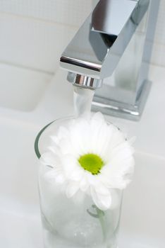 Closeup of modern bathroom tap with fluttering flower