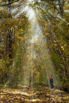 Autumn yellow forest with sun rays and child