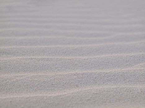 Closeup of ripples of sand with shallow depth of field