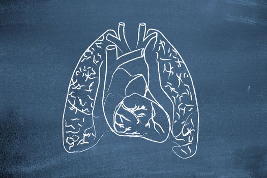 Lungs drawn on blackboard