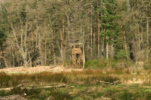 Hunt raised hide in the forest