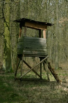 Hunt raised hide in the forest