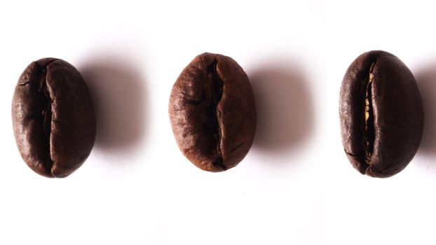 close up of peabody coffee beans