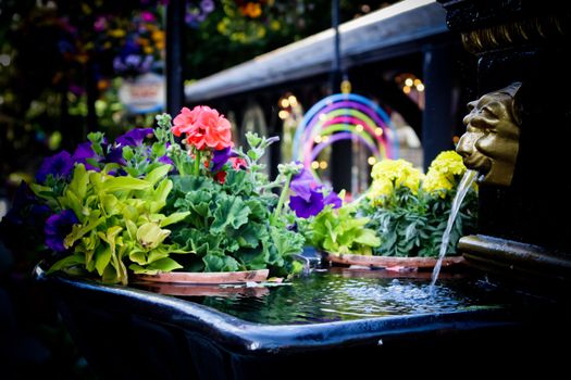 a small fountain, water from an animal, beautifull flowers