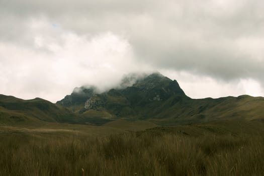 Slopes of the Pichincha in Ecuador in the Andes above the capital, Quito