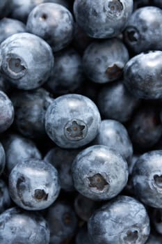 Blueberries photographed in a studio