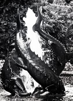 black and white photo of a fountain with three big fishes