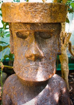 a face on the tree, green leaves background