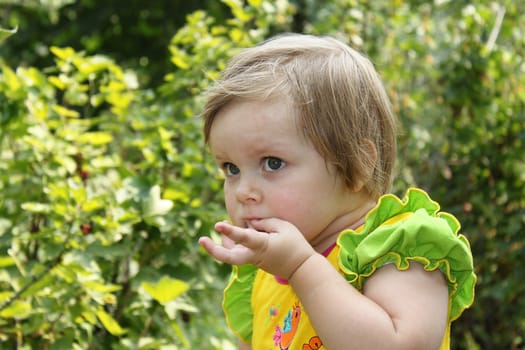 A cute little girl eating berries in the garden