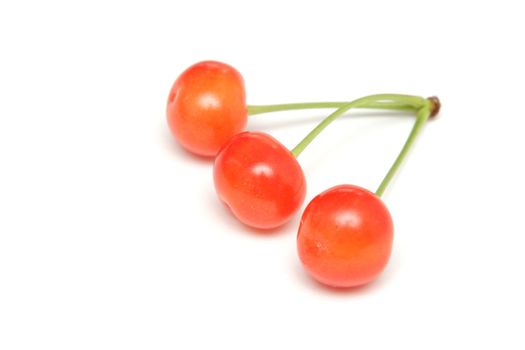 Bunch of cherries isolated on the white background