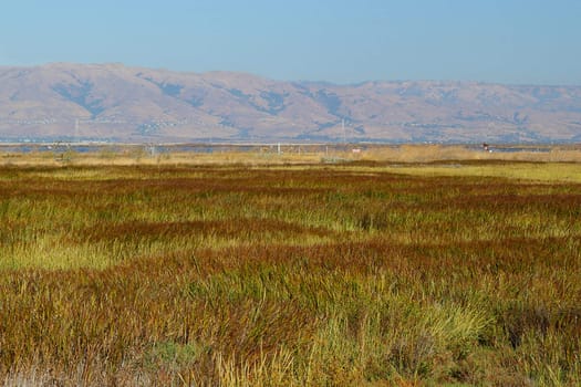 Evening landscape with mountains and field of grass