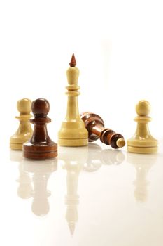 a few chess figures on the white bckground