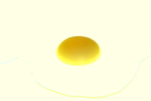 an egg and yolk on the white background