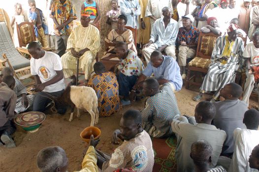 The festival of establishment of a usual chief in Burkina Faso Faso lasts three days. The usual chief succeeds his father deceased, it is always the groin of the family and always a man. It is a very rare event because a chief can be replaced only after his death. During establishment it is the festival and all the area is invited. This festival occurs to Kokemnour�, small village in the East of Burkina Faso Faso in the province of Kouritanga. These three days are punctuated of dance, meal and especially of traditional ceremonies African. The Chief is the King and can be established only by chiefs more important than him.                                