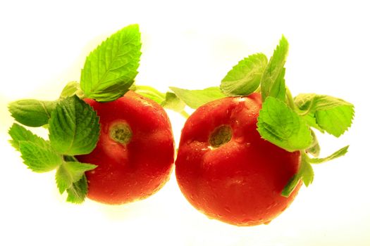 two isolated tomatoes in frame of green mint