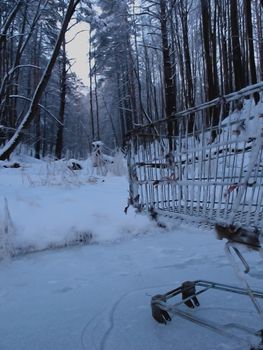 Something wrong. Somebody has lost wheelchair in the forest. So we're all gonna die.