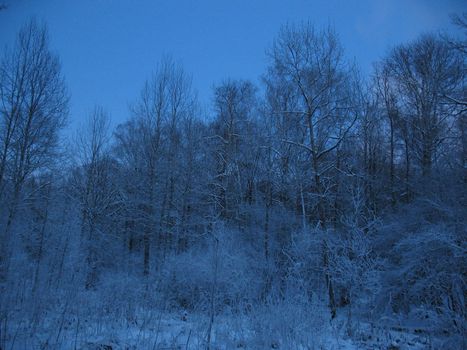 What a breathaken view! It's winter tale indeed...Winter evening as it is. The trees are covered by snow. They are sleeping now, and they don't want to wake up forever.