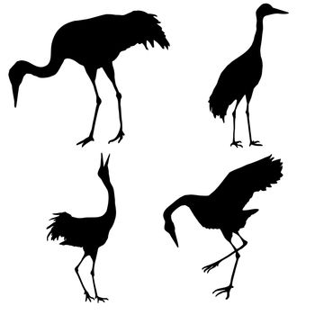silhouette of the cranes isolated on white background