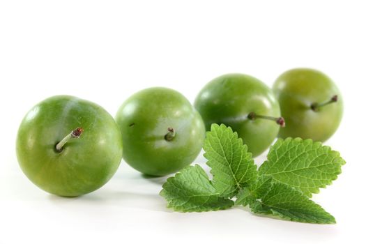 fresh green plums on a white background