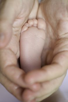 8 days old girl's feet in her mother's hands, very tiny toes with shallow depth of field. Vertical.