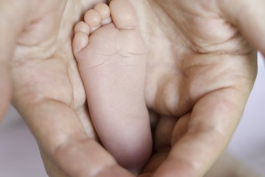 8 days old girl's feet in her mother's hands, very tiny toes with shallow depth of field. Horizontal.