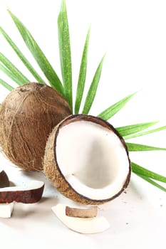 fresh coconut with leaf on a white background