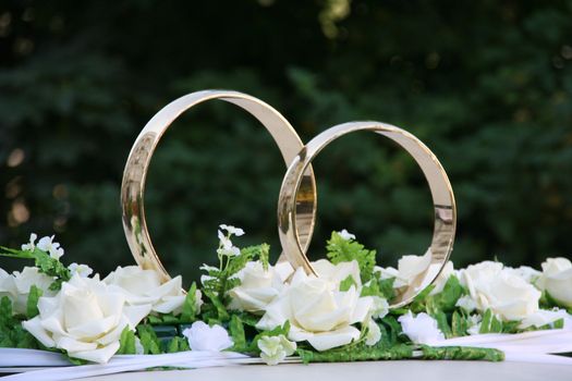 Rings gold flowers rose white green dim background