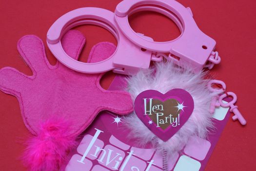 a collection of Hen night accessories 