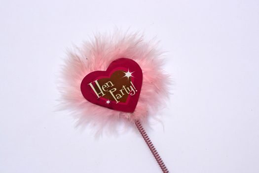 a fury wand for a hen party