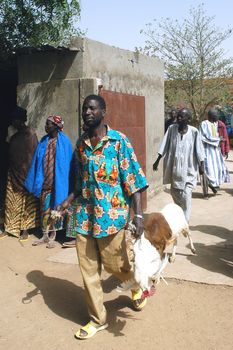 The festival of establishment of a usual chief in Burkina Faso Faso lasts three days. The usual chief succeeds his father deceased, it is always the groin of the family and always a man. It is a very rare event because a chief can be replaced only after his death. During establishment it is the festival and all the area is invited. This festival occurs to Kokemnour�, small village in the East of Burkina Faso Faso in the province of Kouritanga. These three days are punctuated of dance, meal and especially of traditional ceremonies African. The Chief is the King and can be established only by chiefs more important than him.                                