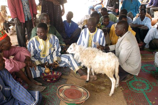 The festival of establishment of a usual chief in Burkina Faso Faso lasts three days. The usual chief succeeds his father deceased, it is always the groin of the family and always a man. It is a very rare event because a chief can be replaced only after his death. During establishment it is the festival and all the area is invited. This festival occurs to Kokemnour�, small village in the East of Burkina Faso Faso in the province of Kouritanga. These three days are punctuated of dance, meal and especially of traditional ceremonies African. The Chief is the King and can be established only by chiefs more important than him.                                