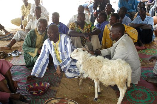 The festival of establishment of a usual chief in Burkina Faso Faso lasts three days. The usual chief succeeds his father deceased, it is always the groin of the family and always a man. It is a very rare event because a chief can be replaced only after his death. During establishment it is the festival and all the area is invited. This festival occurs to Kokemnour�, small village in the East of Burkina Faso Faso in the province of Kouritanga. These three days are punctuated of dance, meal and especially of traditional ceremonies African. The Chief is the King and can be established only by chiefs more important than him.                                