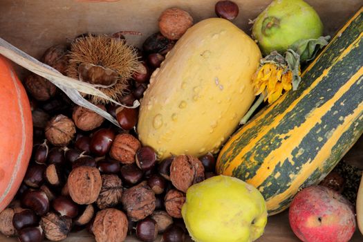 Autumn Harvest