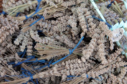Dried lavender