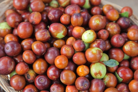 Olives