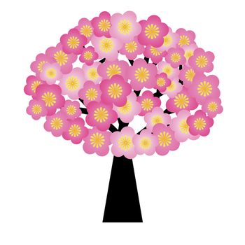 Spring Cherry Blossom Flowers Blooming on Tree Illustration Isolated on White Background