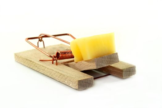 tense mousetrap with a piece of cheese