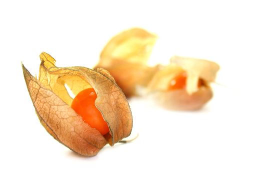 Close-up of physalis on white background