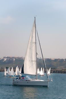 Group of white boats by the marina in the Pacific Ocean