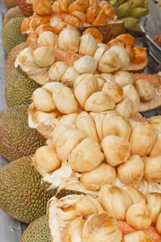 Jackfruit genus Artocarpus is Tropical Fruit in Thailand