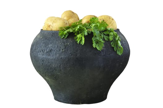 Pot old rural with potato  on the white isolated background
