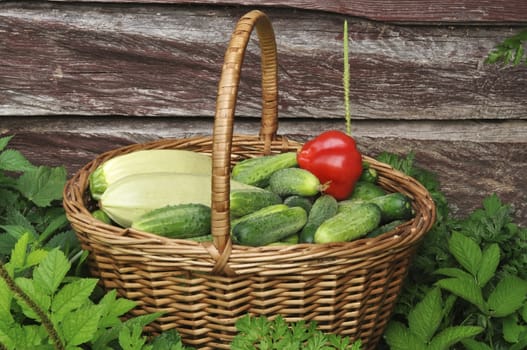 Vegetables different in a basket against a wooden wall