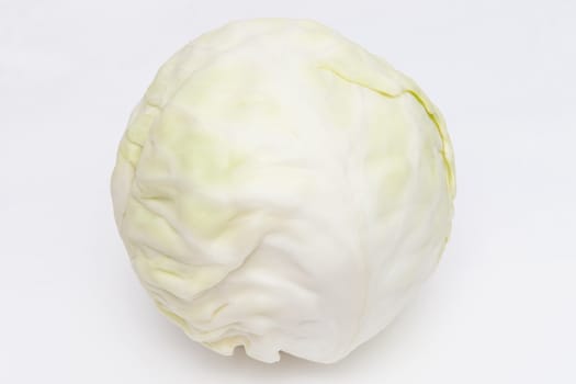 Cabbage on the white background