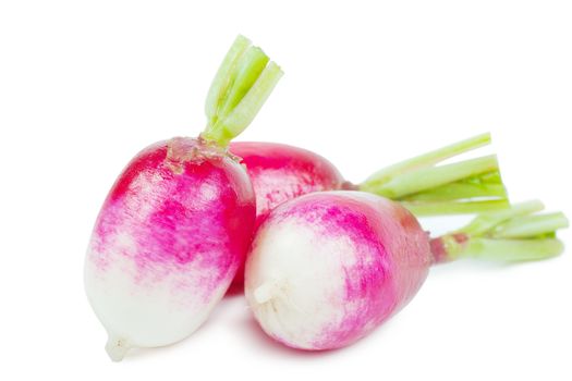 Three fresh garden radishes isolated over white background