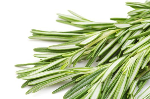 fresh rosemary isolated on white